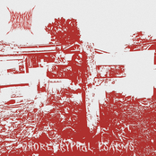 Whorecryphal Psalms [Explicit]