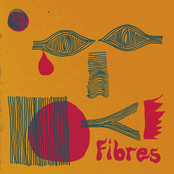 Fibres
