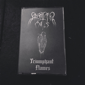 Triumphant Flames