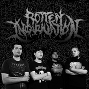 Rotten Incarnation