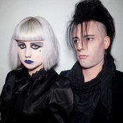 Wild Roses of Winter