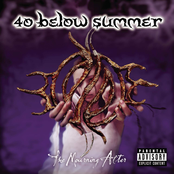 40 Below Summer: The Mourning After