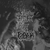 Cyst Eater / Tobaya