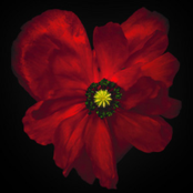 you don't have to hide