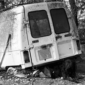 Primeros Perros Pastores Catalanes