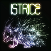 Istrice