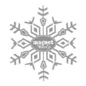 Heaviest Heart by Magnet