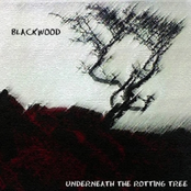 Underneath The Rotting Tree (Blackwood)