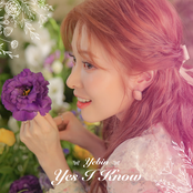 Yes I Know - Single