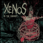 Xenos