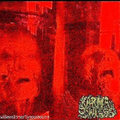 Williewallomar1lynousbourne