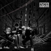 Muzyka Codzienności