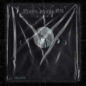 Lockdown Løve Affair