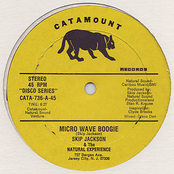 Micro Wave Boogie