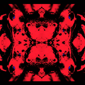 Hive Mind I: Convergent Evolution