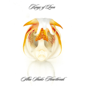 Kings Of Leon: Aha Shake Heartbreak