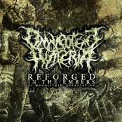 Reforged in the Embers of Monolithic Devastation