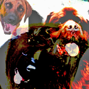 Hollow Bone Dog Halloween