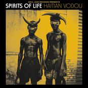 Spirits Of Life : Haitian Vodou