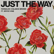 Just the Way (feat. Bryce Vine) (Single)