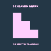 The Beauty of Transience