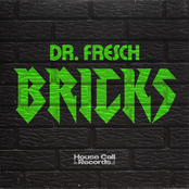 Dr. Fresch: Bricks