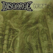 Back Seat Mutilation by Disgorge