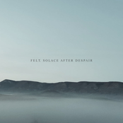 Felt. Solace After Despair