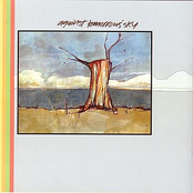 Jump the Hedges First