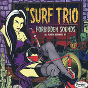 Party In My Dorm by The Surf Trio