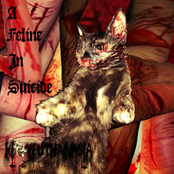 A Feline In Suicide