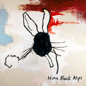 Southern Cross by Nine Black Alps