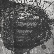 SKY LIMOUSINE "ARRAYS"