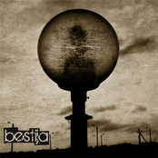 Insane in Madness (EP, 2008)