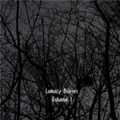 Lunacy Diaries. Volume 1
