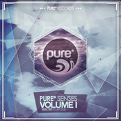 Pure* Senses - Selected Soulfood, Vol. 1