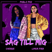 Säg till mig (feat. Linda Pira & Cherrie) - Single