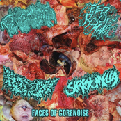 faces of gorenoise split