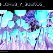 FLORES_Y_SUEÑOS_