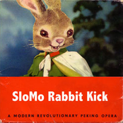 slomo rabbit kick