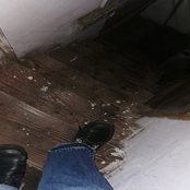 The springfield mine disaster