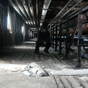 Assorted Non-Project Tracks