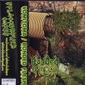Vomitoma / Bonded Flesh