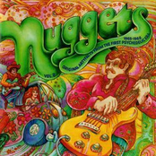 Nuggets: Original Artyfacts From the First Psychedelic Era, 1965-1968 (disc 2)
