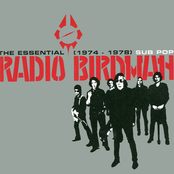 The Essential Radio Birdman (1974-1978)