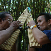 lao khaen duo