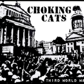 Choking Cats