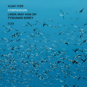 Vijay Iyer: Compassion