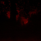 Primordial Wound