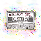 Your Voice